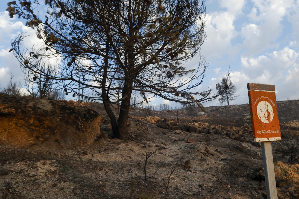Un bombero herido y desalojado otro pueblo por el incendio de Bejís