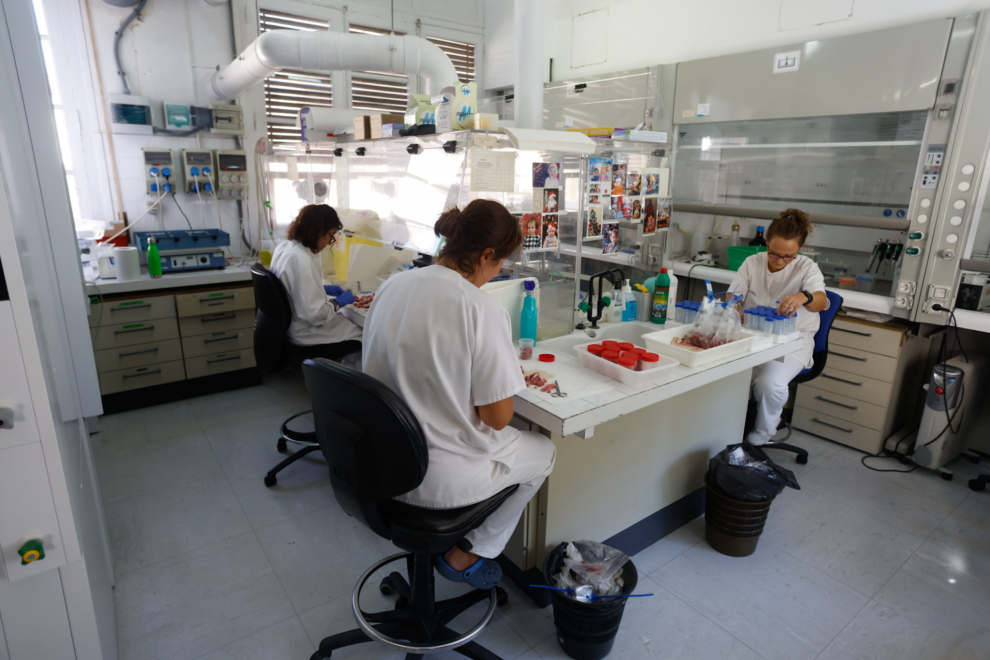 La sede de Zaragoza del Laboratorio de Salud Pública es la que mayor número de técnicas contempla y mayor volumen de analíticas registra.