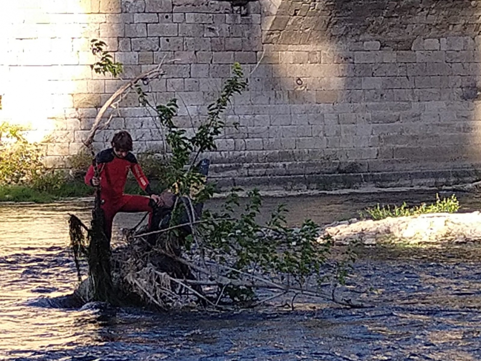 Limpieza de ramas y troncos en el Ebro