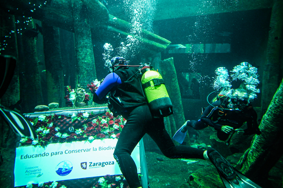 La ofrenda subacuática ha tenido lugar este martes en el Acuario de Zaragoza, y ha estado encabezada por el alpinista Carlos Pauner.