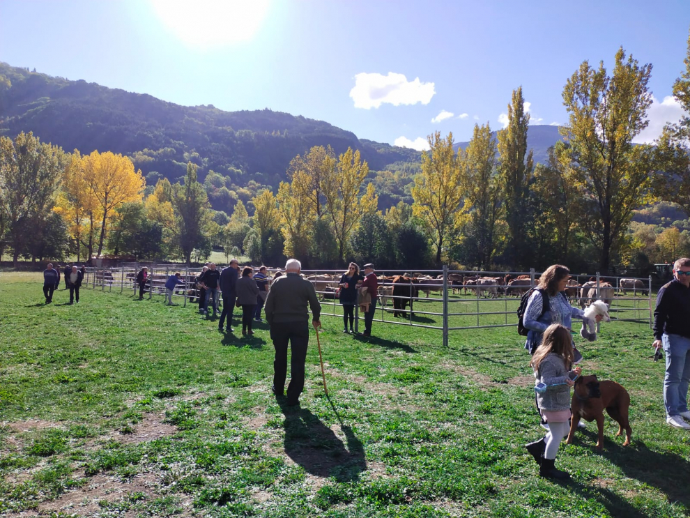 La 40 edición del evento se ha desarrollado con 500 reses de ovino y vacuno y ha coincidido con el descenso de rebaños de montaña