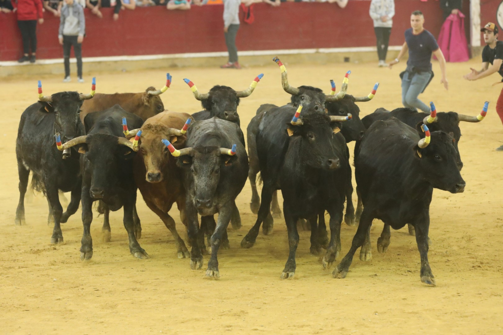 Última jornada de vaquillas en las Fiestas del Pilar 2022 de Zaragoza.