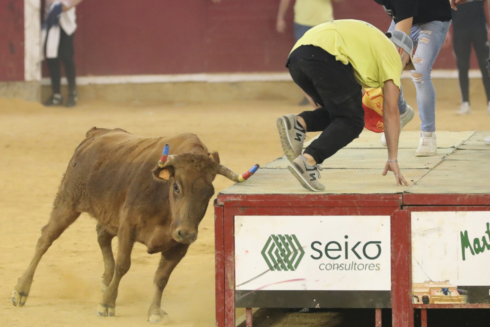Última jornada de vaquillas en las Fiestas del Pilar 2022 de Zaragoza.