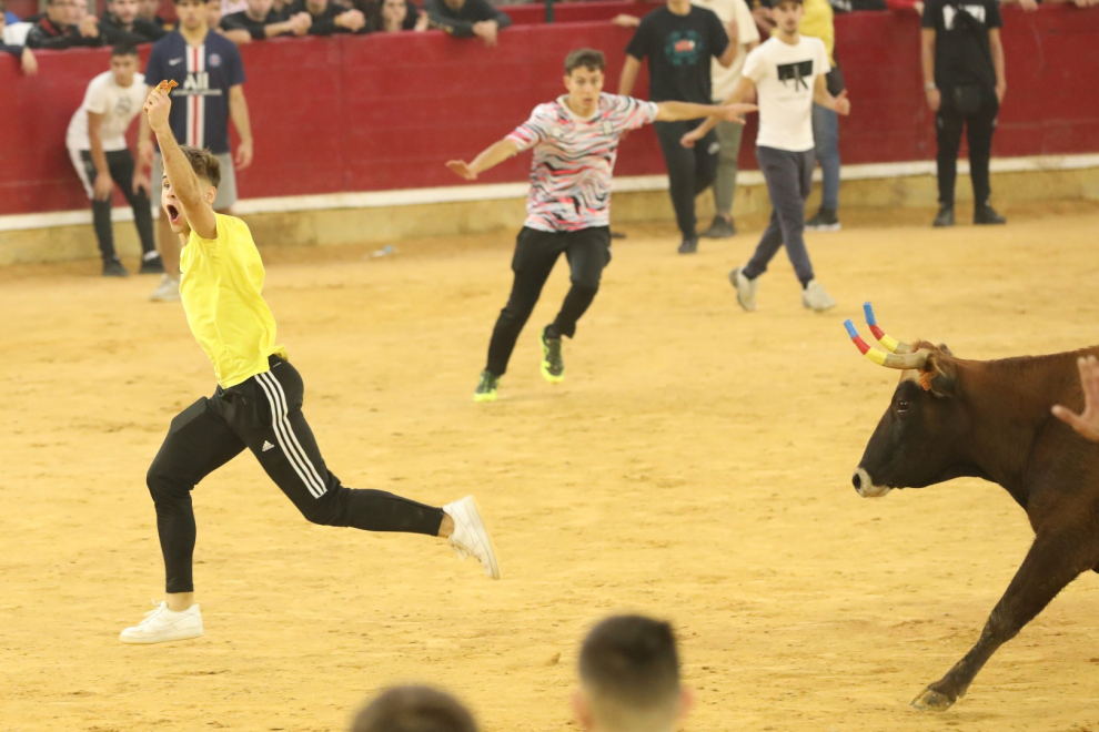Última jornada de vaquillas en las Fiestas del Pilar 2022 de Zaragoza.