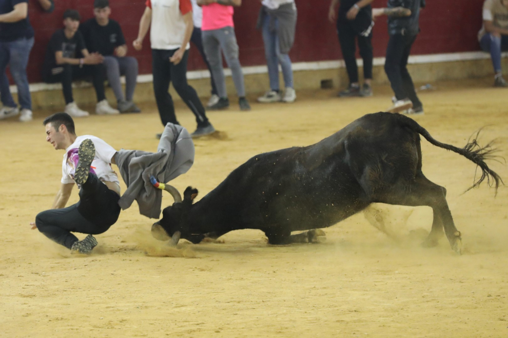 Última jornada de vaquillas en las Fiestas del Pilar 2022 de Zaragoza.