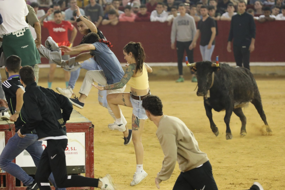 Última jornada de vaquillas en las Fiestas del Pilar 2022 de Zaragoza.