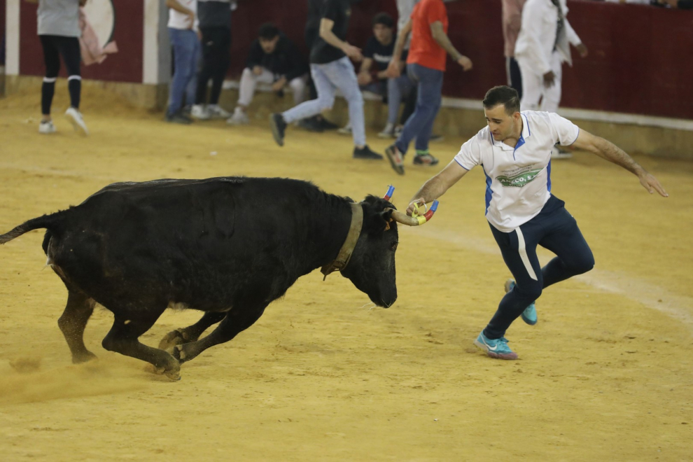 Última jornada de vaquillas en las Fiestas del Pilar 2022 de Zaragoza.