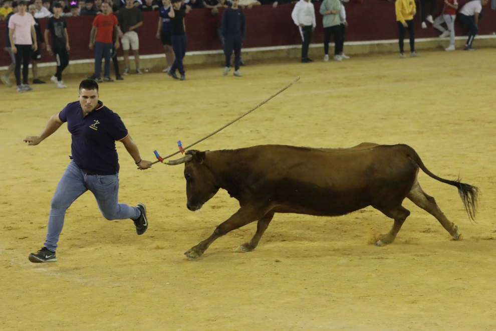 Última jornada de vaquillas en las Fiestas del Pilar 2022 de Zaragoza.