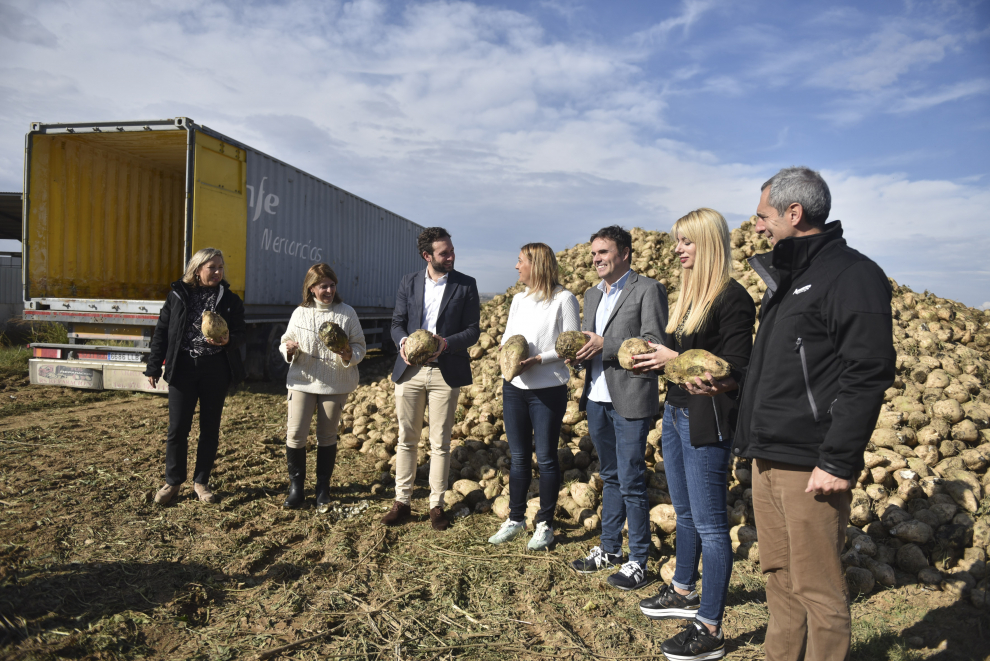 La Terminal Intermodal de Monzón (TIM) transporta el producto implantado por Nafosa en tren hasta Azucarera Española, en Miranda (Burgos).