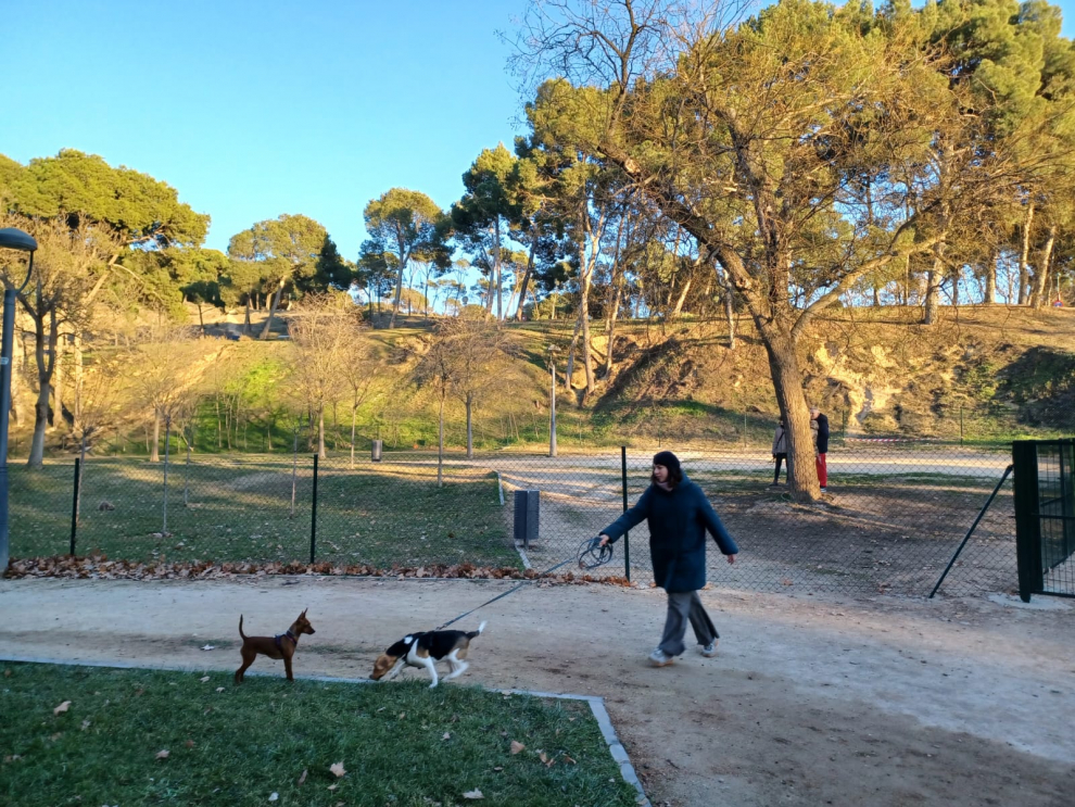 Así es la nueva zona para perros del parque Grande.