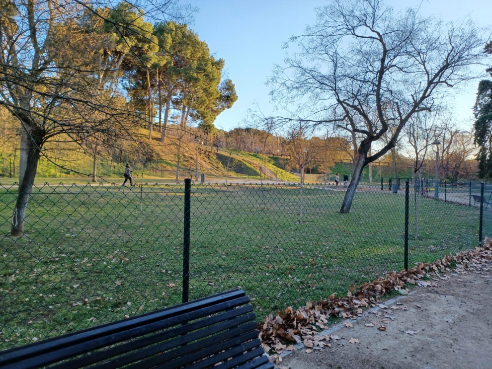 Así es la nueva zona para perros del parque Grande.