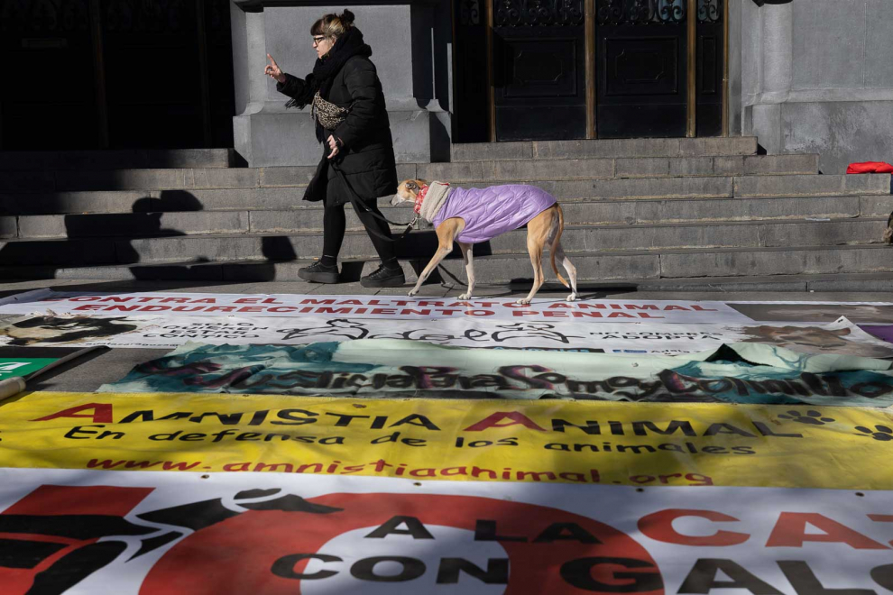 Protesta por excluir perros de caza de la ley de bienestar animal