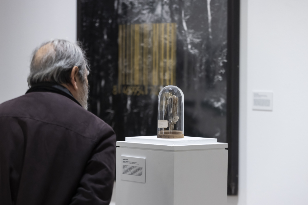 Fotos de la exposición 'Construyendo una colección' en el Pablo Serrano de Zaragoza