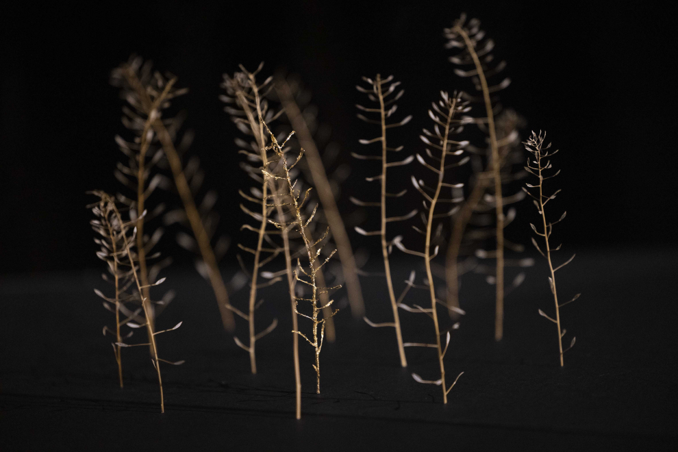 Fotos de la exposición 'The Phantom Bouquet' en el museo Pablo Serrano de Zaragoza