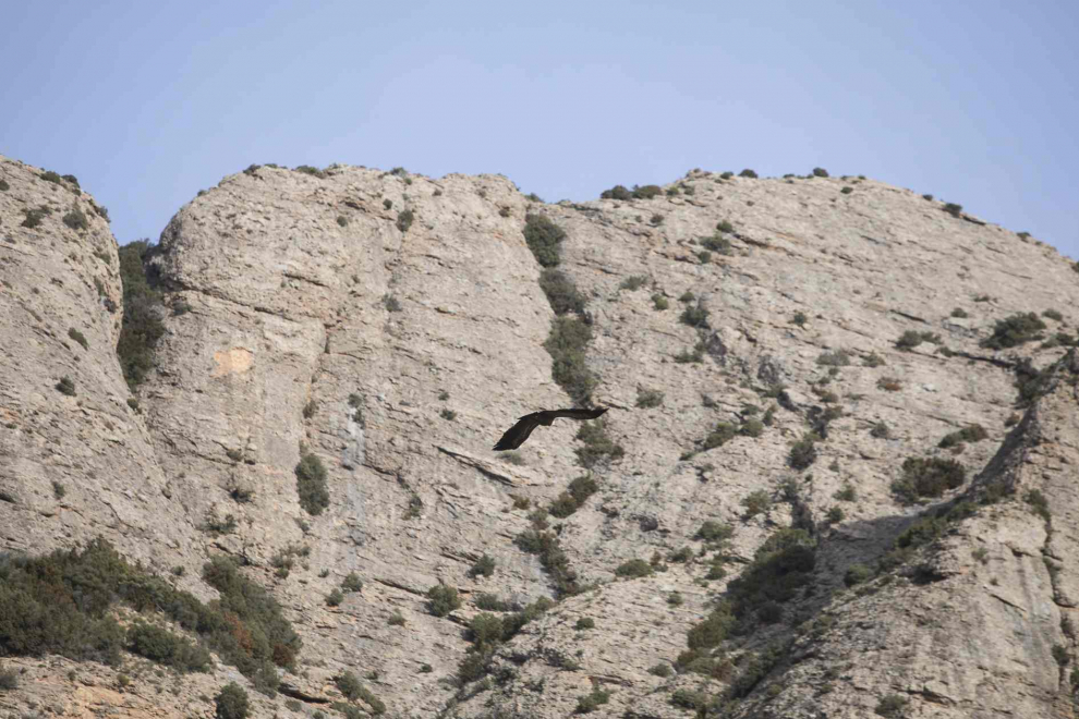 Vista de los Mallos de Agüero