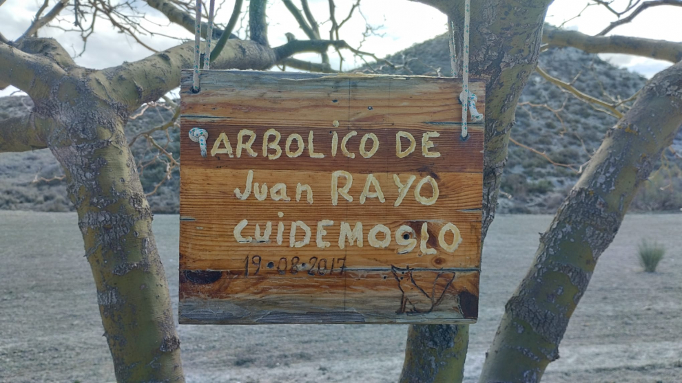 "El arbolico de Juan Rayo", en el camino viejo de Torrecilla de Valmadrid, cerca de Zaragoza.