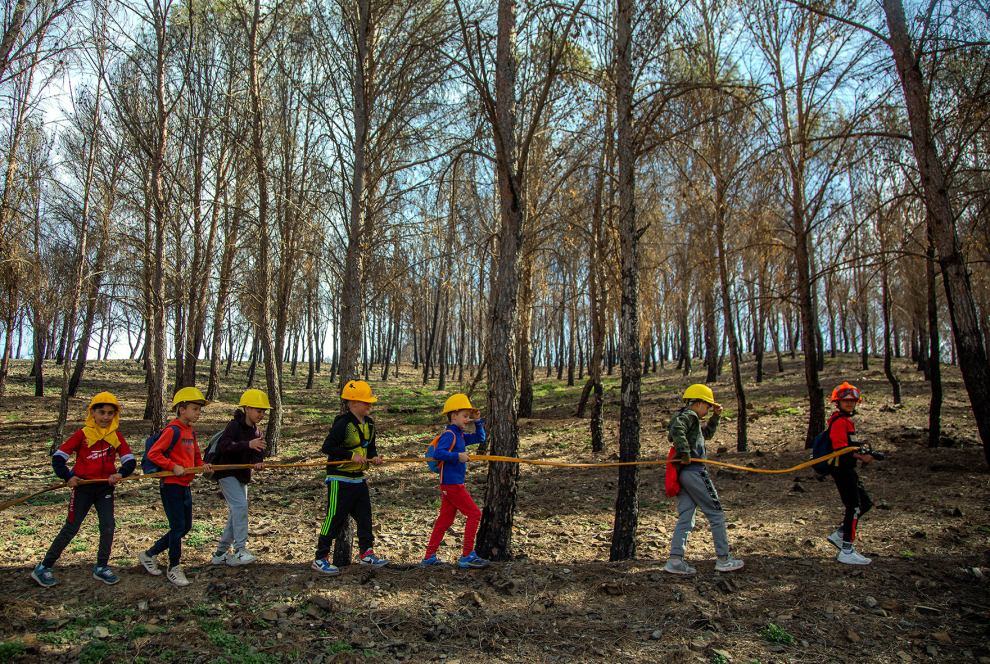 Actividades prácticas de los alumnos de Ateca con agentes forestales