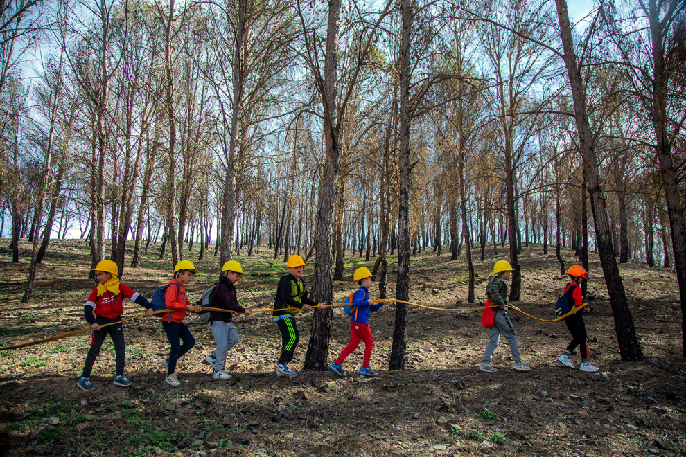 Actividades prácticas de los alumnos de Ateca con agentes forestales