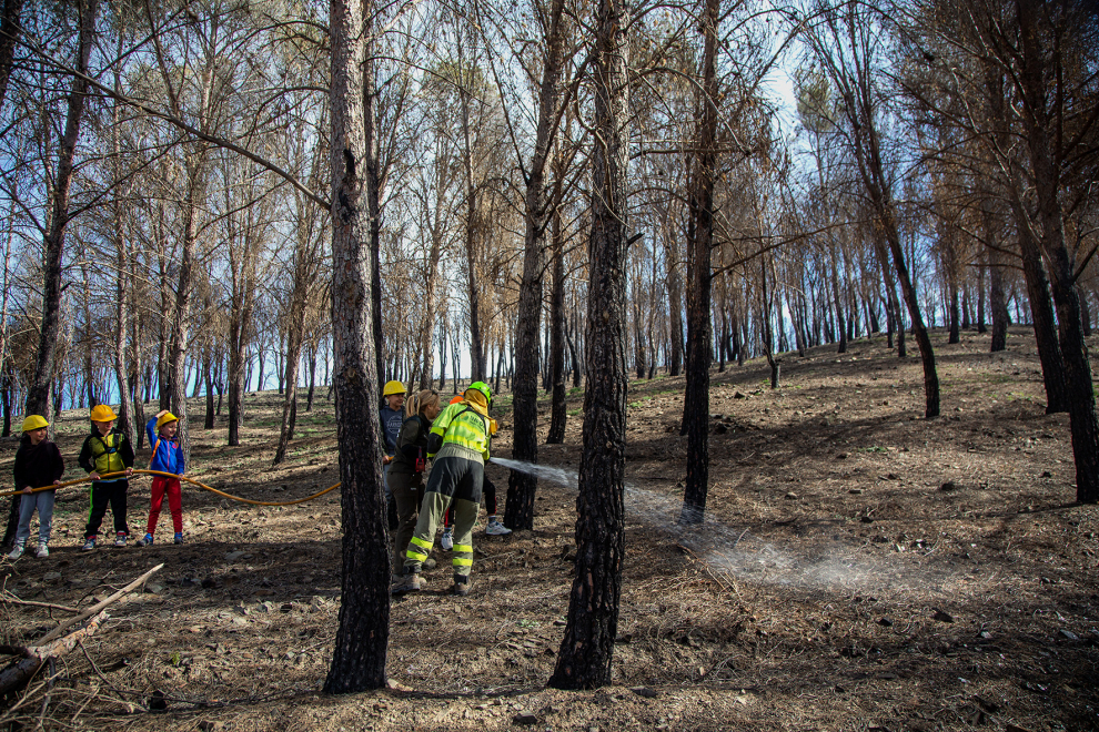Actividades prácticas de los alumnos de Ateca con agentes forestales