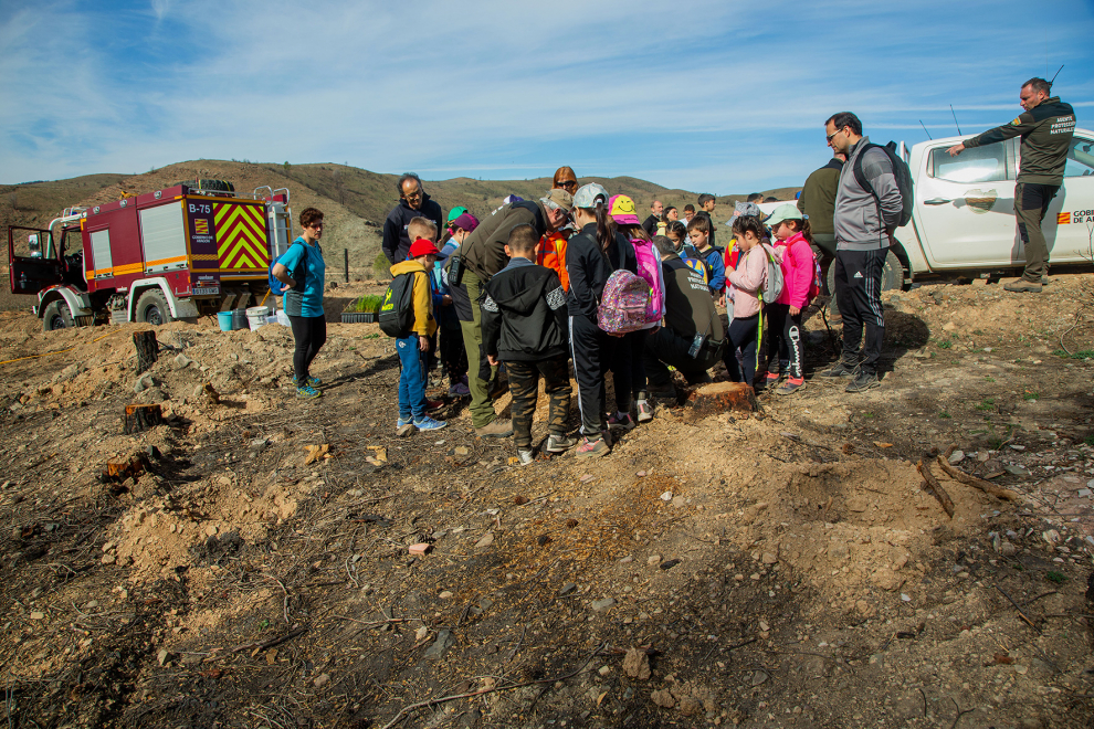 Actividades prácticas de los alumnos de Ateca con agentes forestales
