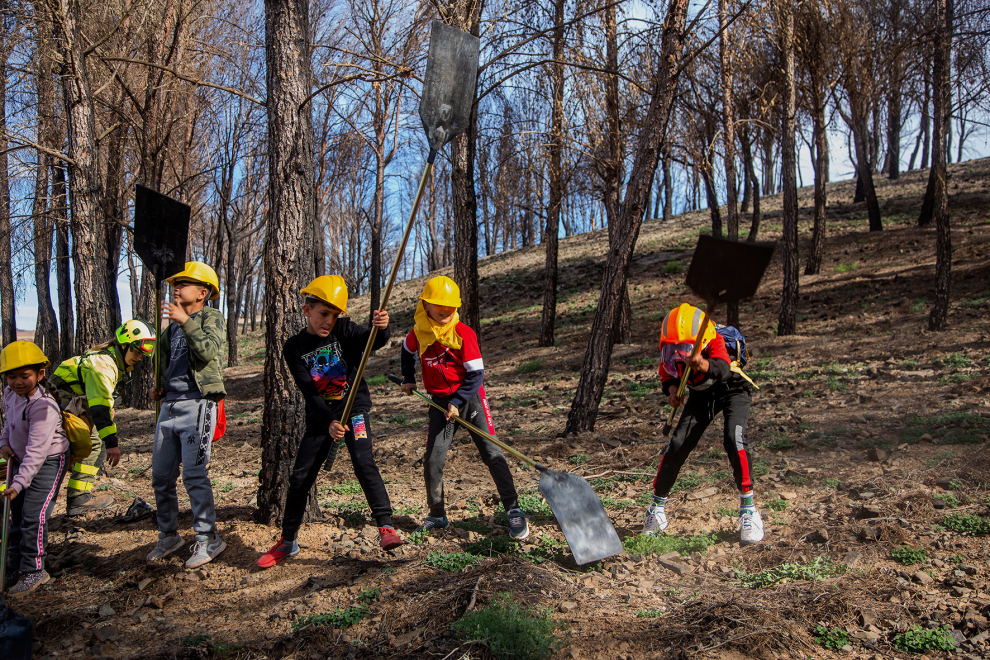 Actividades prácticas de los alumnos de Ateca con agentes forestales