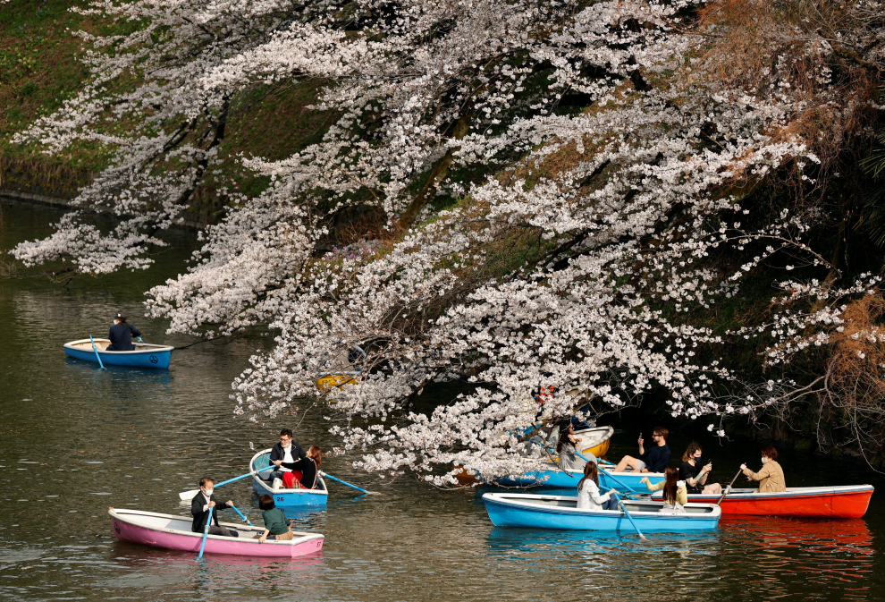 Visitors ride boats next to blooming cherry blossoms at Chidorigafuchi Park in Tokyo, Japan, March 22, 2023. REUTERS/Issei Kato SPRING-CHERRYBLOSSOMS/JAPAN