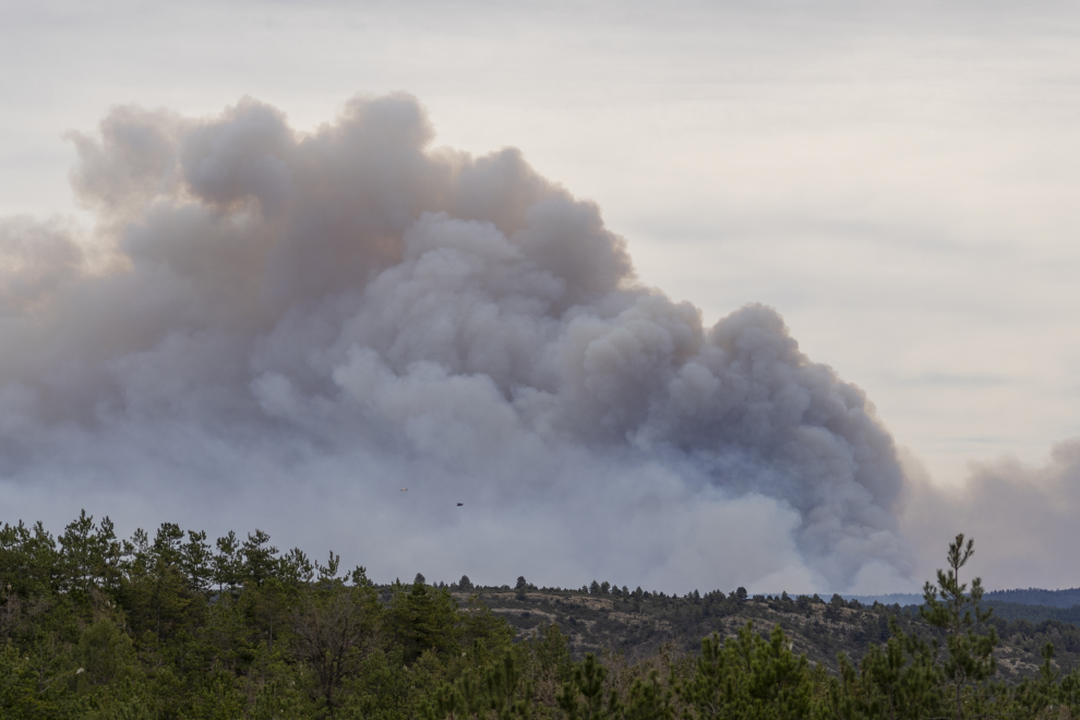 Incendio forestal en el termino municipal de Olba (Teruel)