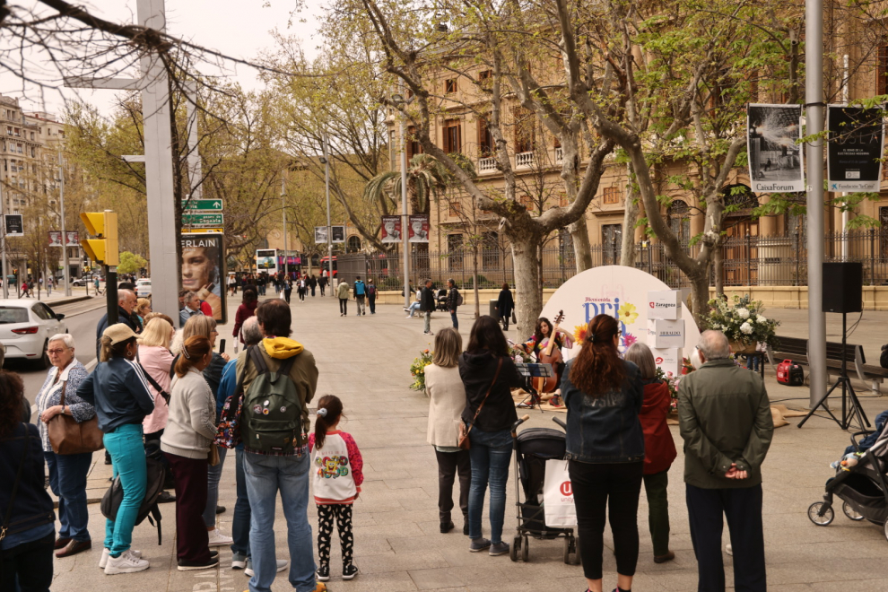 Imágenes de los conciertos con los que se da la bienvenida a la primavera en Zaragoza