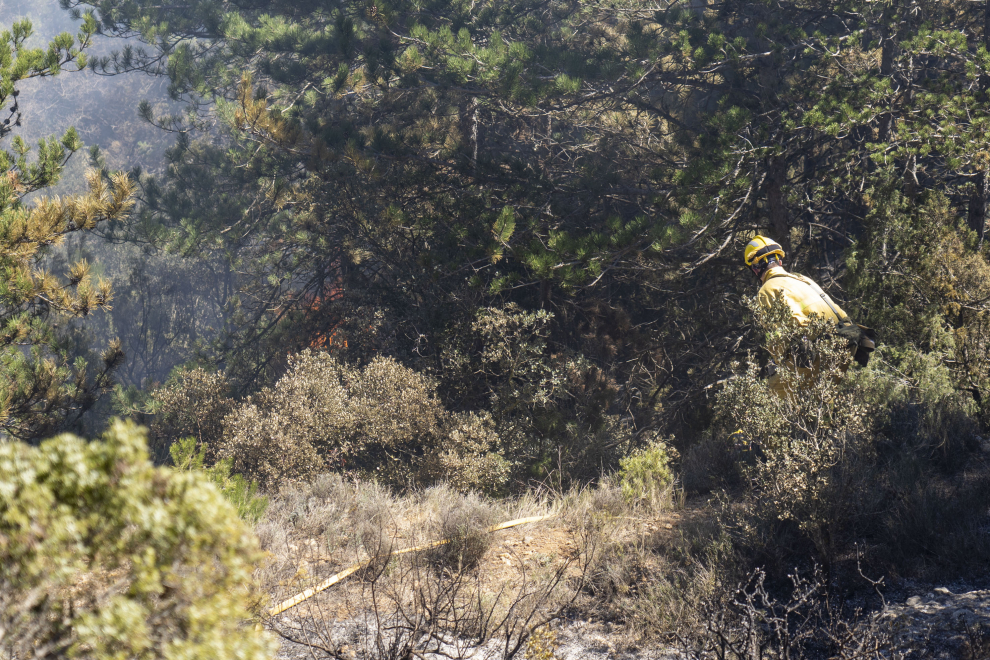 Cuadrillas de bomberos forestales de Aragón en Los Peiros, sofocando el incendio de San Agustín.