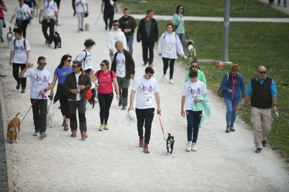 Andad canina y familiar en Zaragoza