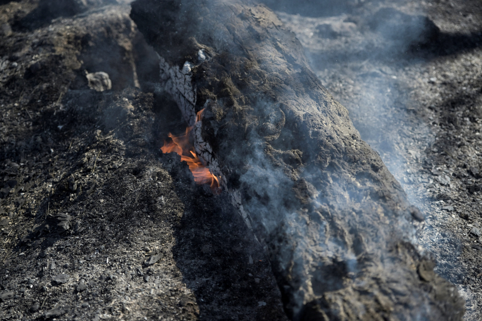 Los vecinos de varias pedanías de Teruel desalojados por el fuego regresan a sus casas.