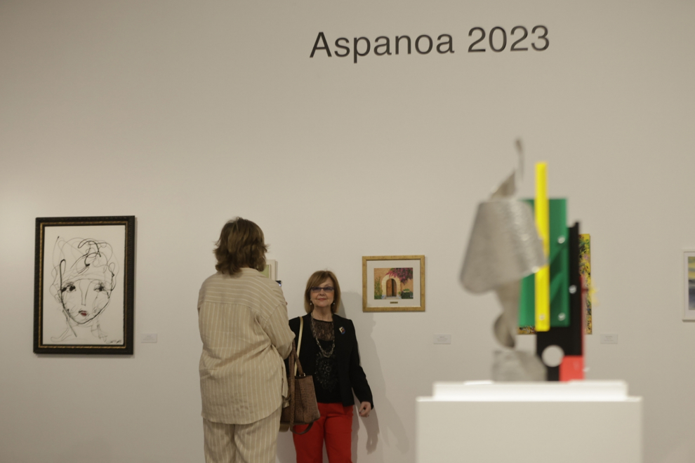 Exposición de solidaria de Aspanoa en el Pablo Serrano
