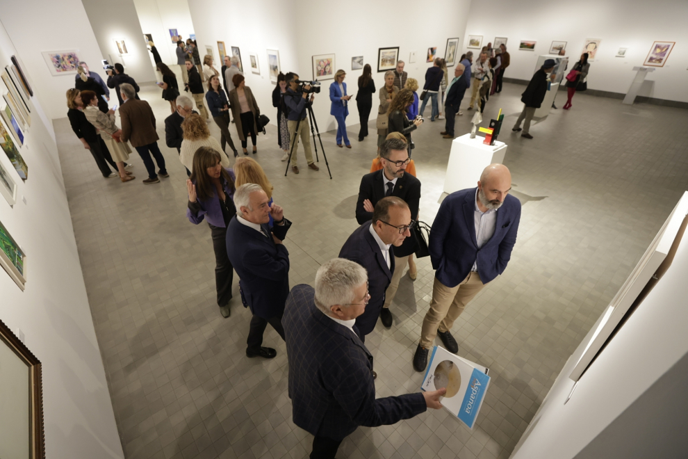Exposición de solidaria de Aspanoa en el Pablo Serrano