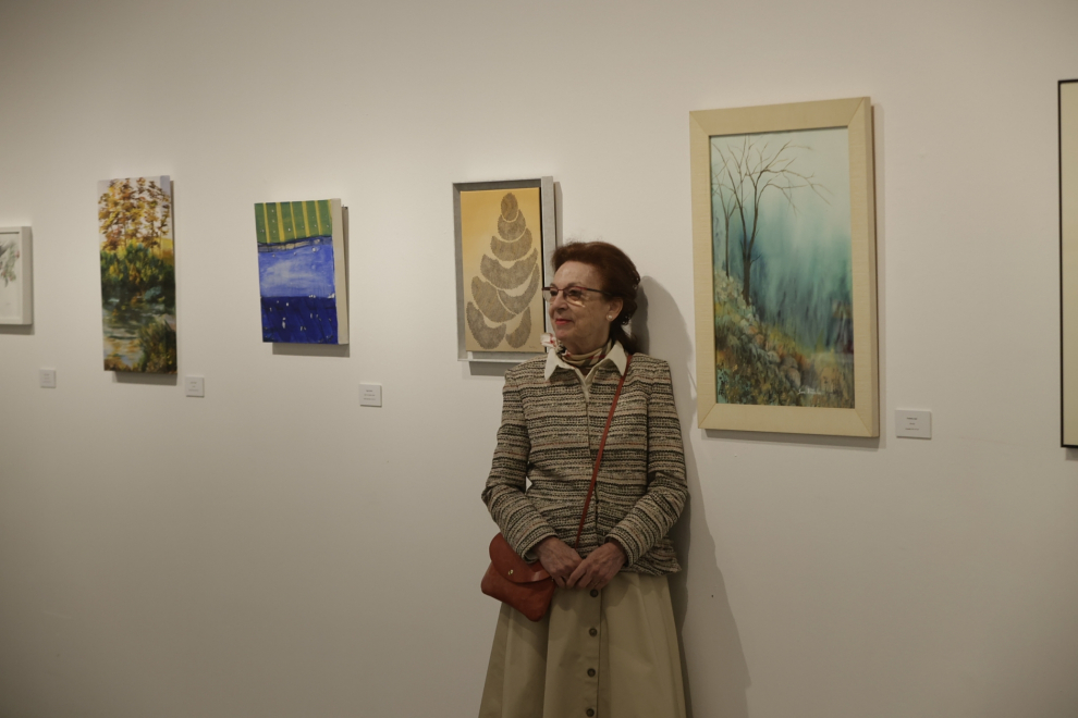 Exposición de solidaria de Aspanoa en el Pablo Serrano