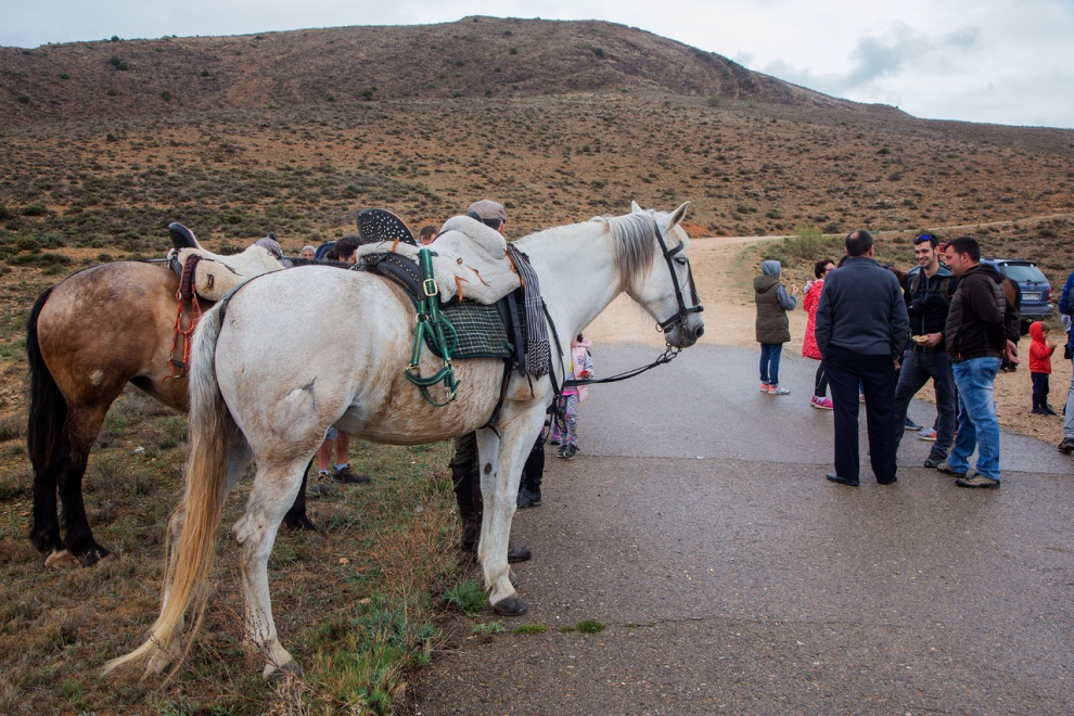 Fotos La trashumancia aragonesa se reivindica en Huérmeda Imágenes