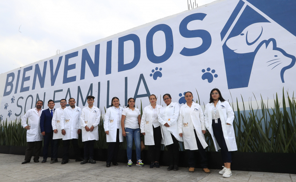 Inauguran en México el primer hotel para perros y gatos abandonados.