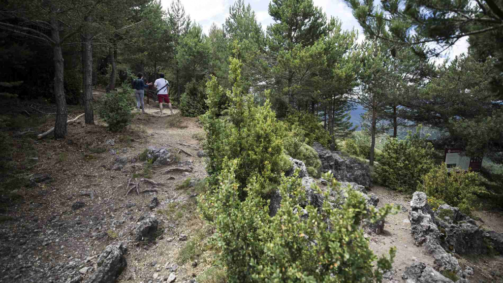 Monte en el Serrat Negre en Laspaúles dedicado a las brujas ajusticiadas