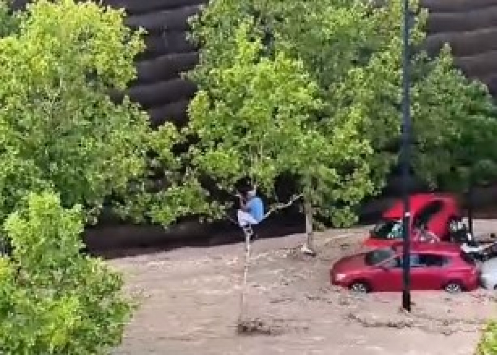 Un hombre permanece encaramado a un árbol tras ser arrollado por la riada en el Tercer Cinturón de Zaragoza por la lluvia torrencial