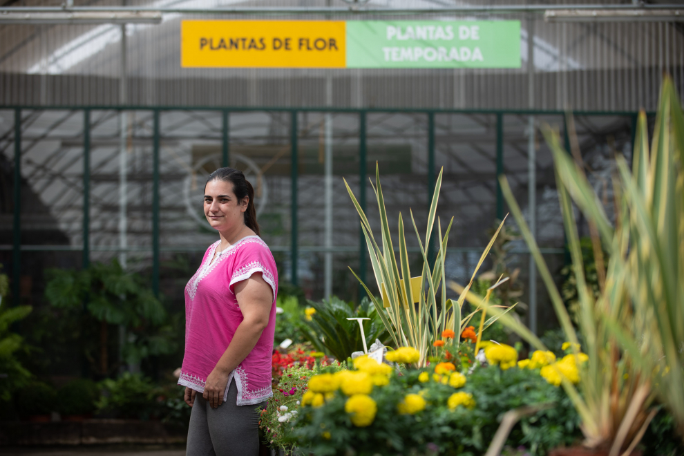 Fotos De Viveros Aznar Y Laraflor De Zaragoza | Imágenes