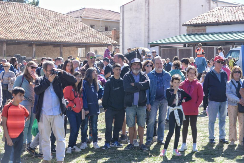 Puestos de artesanía, más de 60 mulos, una exposición de antiguos aperos de labranza y de tractores de diferentes épocas son algunos de los atractivos.