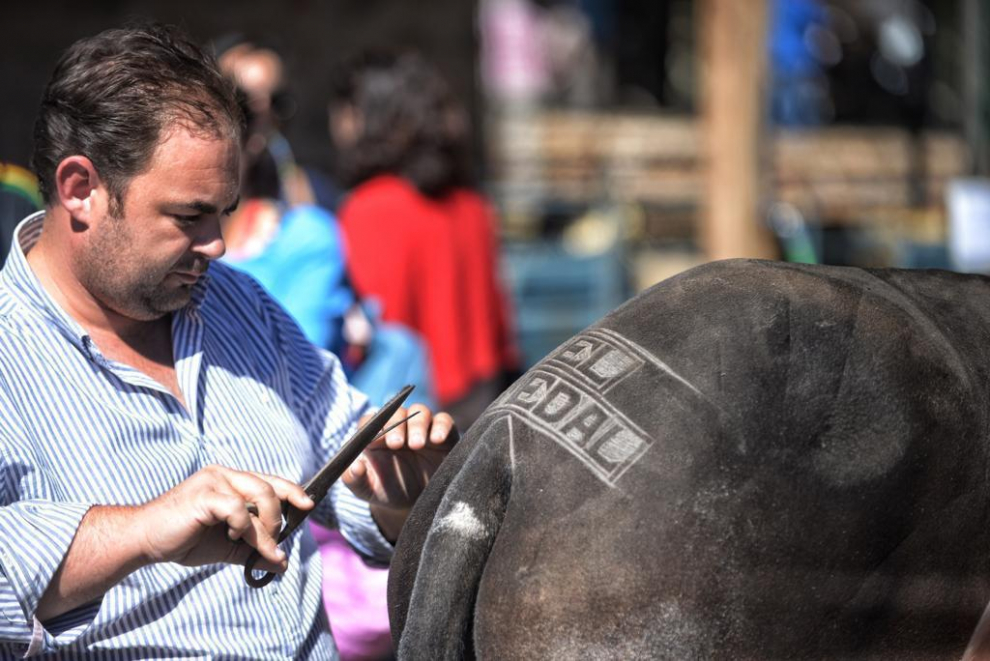 Puestos de artesanía, más de 60 mulos, una exposición de antiguos aperos de labranza y de tractores de diferentes épocas son algunos de los atractivos.