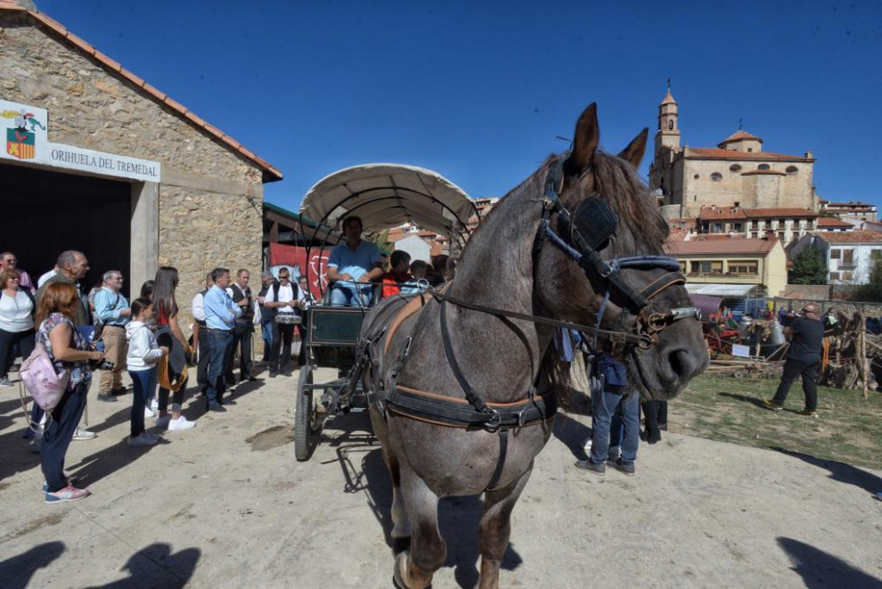 Puestos de artesanía, más de 60 mulos, una exposición de antiguos aperos de labranza y de tractores de diferentes épocas son algunos de los atractivos.