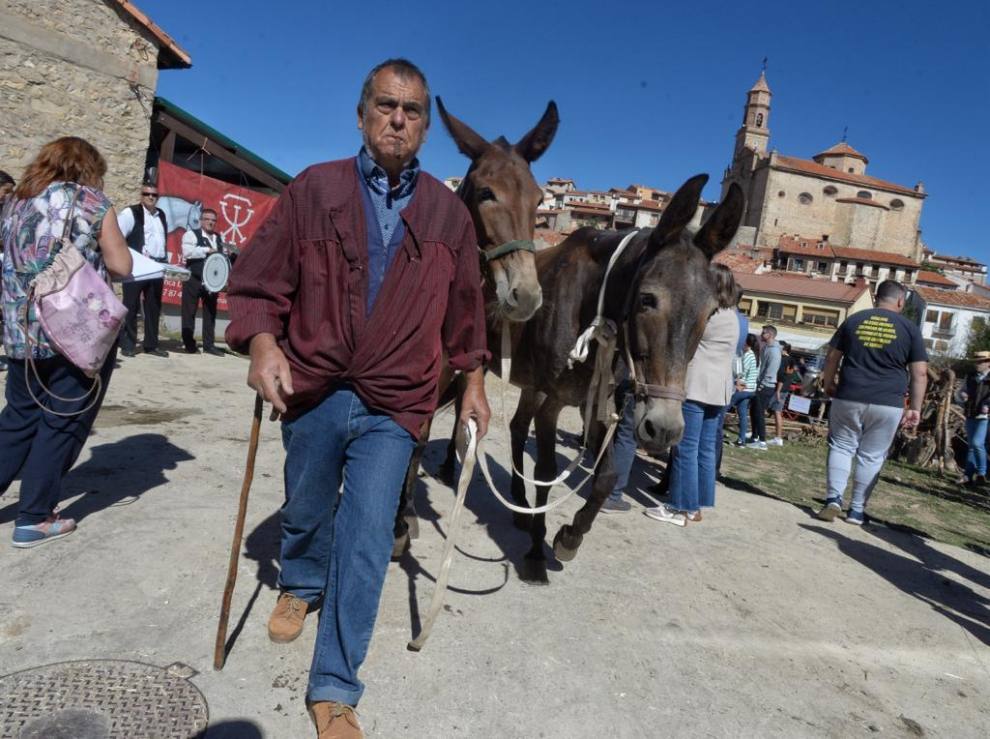 Puestos de artesanía, más de 60 mulos, una exposición de antiguos aperos de labranza y de tractores de diferentes épocas son algunos de los atractivos.