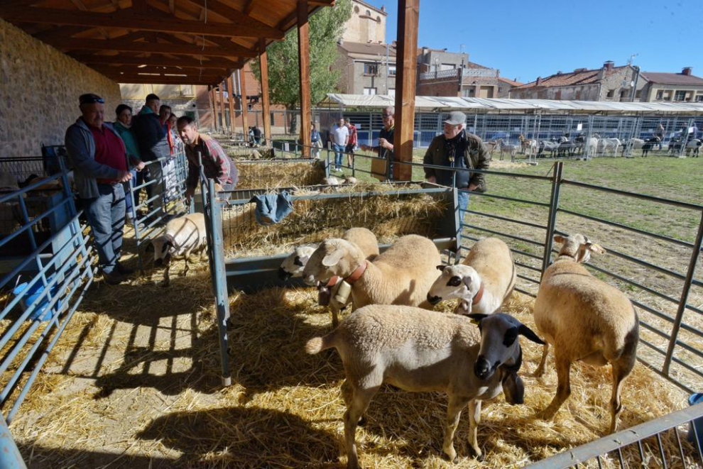 Puestos de artesanía, más de 60 mulos, una exposición de antiguos aperos de labranza y de tractores de diferentes épocas son algunos de los atractivos.