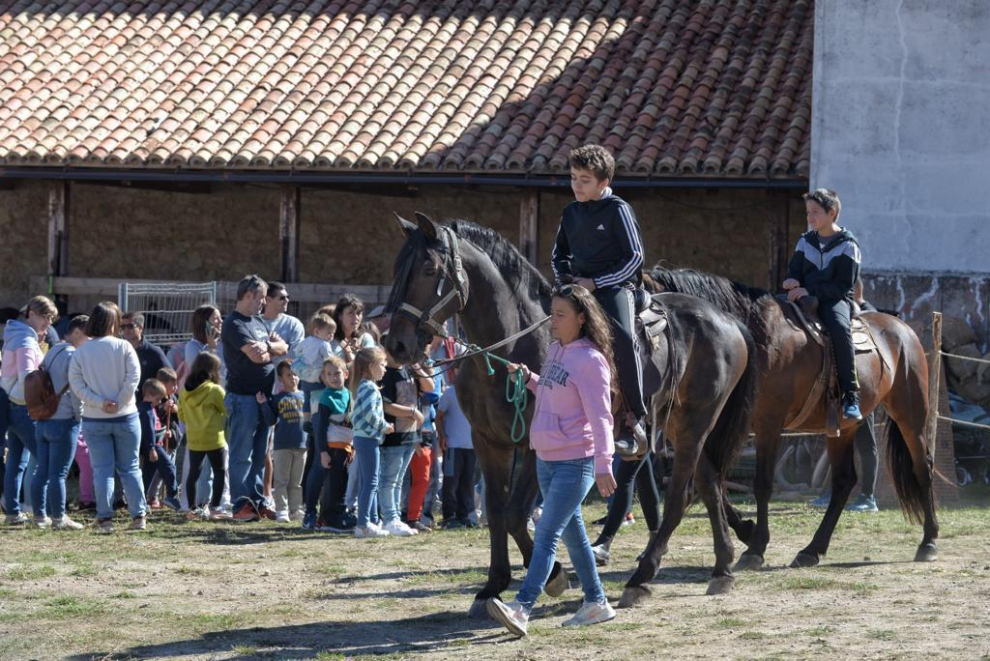 Puestos de artesanía, más de 60 mulos, una exposición de antiguos aperos de labranza y de tractores de diferentes épocas son algunos de los atractivos.