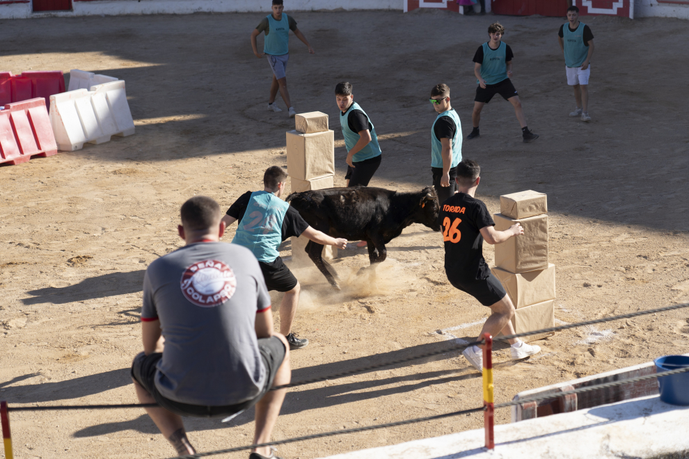 Gran Prix en la plaza de Toros en las fiestas de Albalate del Arzobispo. Foto Antonio Garcia Bykofoto 25 09 23[[[FOTOGRAFOS]]]