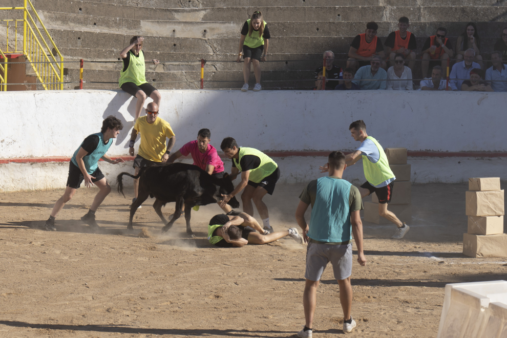 Gran Prix en la plaza de Toros en las fiestas de Albalate del Arzobispo. Foto Antonio Garcia Bykofoto 25 09 23[[[FOTOGRAFOS]]]