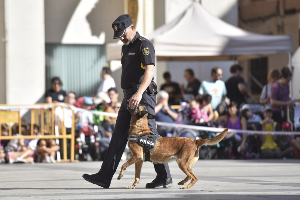 Exhibición de las diferentes unidades de la Policía Nacional en la plaza López Allué de Huesca.
