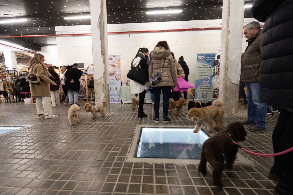 Nueva edición del mercado de mascotas de Zaragoza, organizado Tu Perro es Bienvenido, una empresa zaragozana y StartUp de la Universidad de Zaragoza.