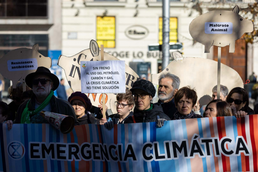 Protesta en Zaragoza contra el cambio climático